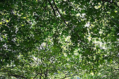 《暗黑破坏神4》已开发完成 进入送厂压盘阶段